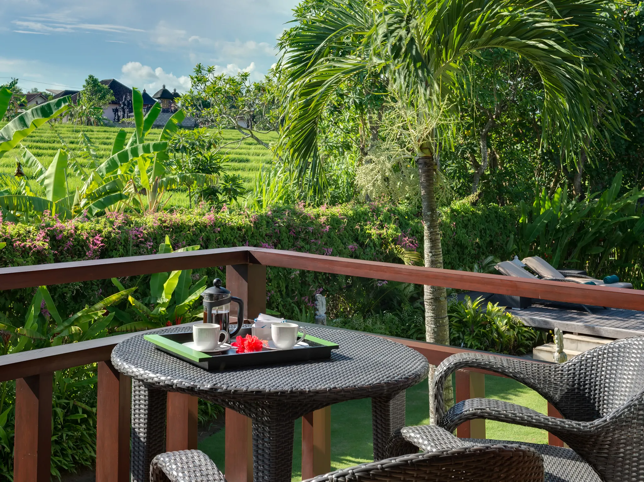 Bendega Nui - Ricefield view from balcony