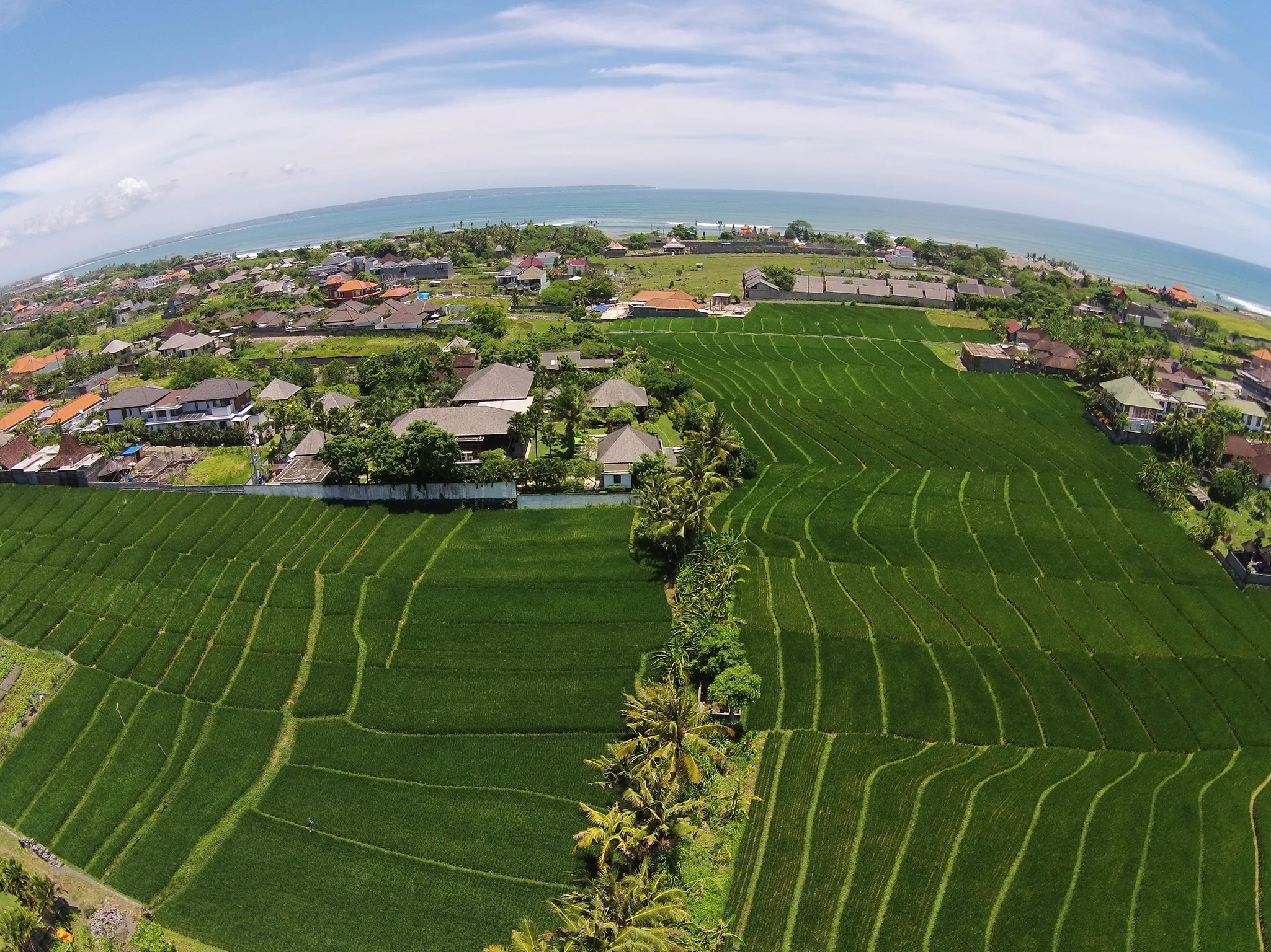Bendega Rato - Ricefields and beachside