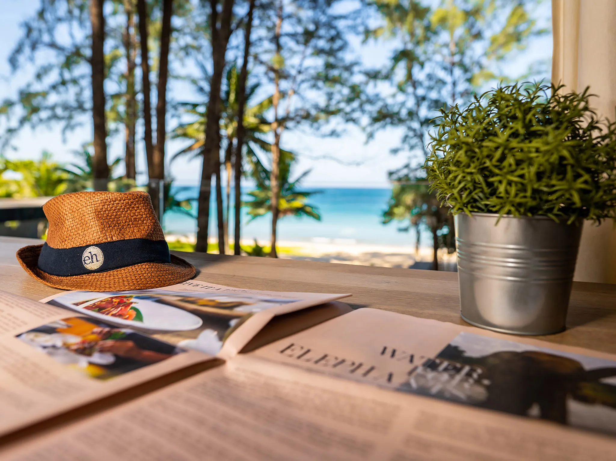 Grand Villa Noi - Reading and dreaming