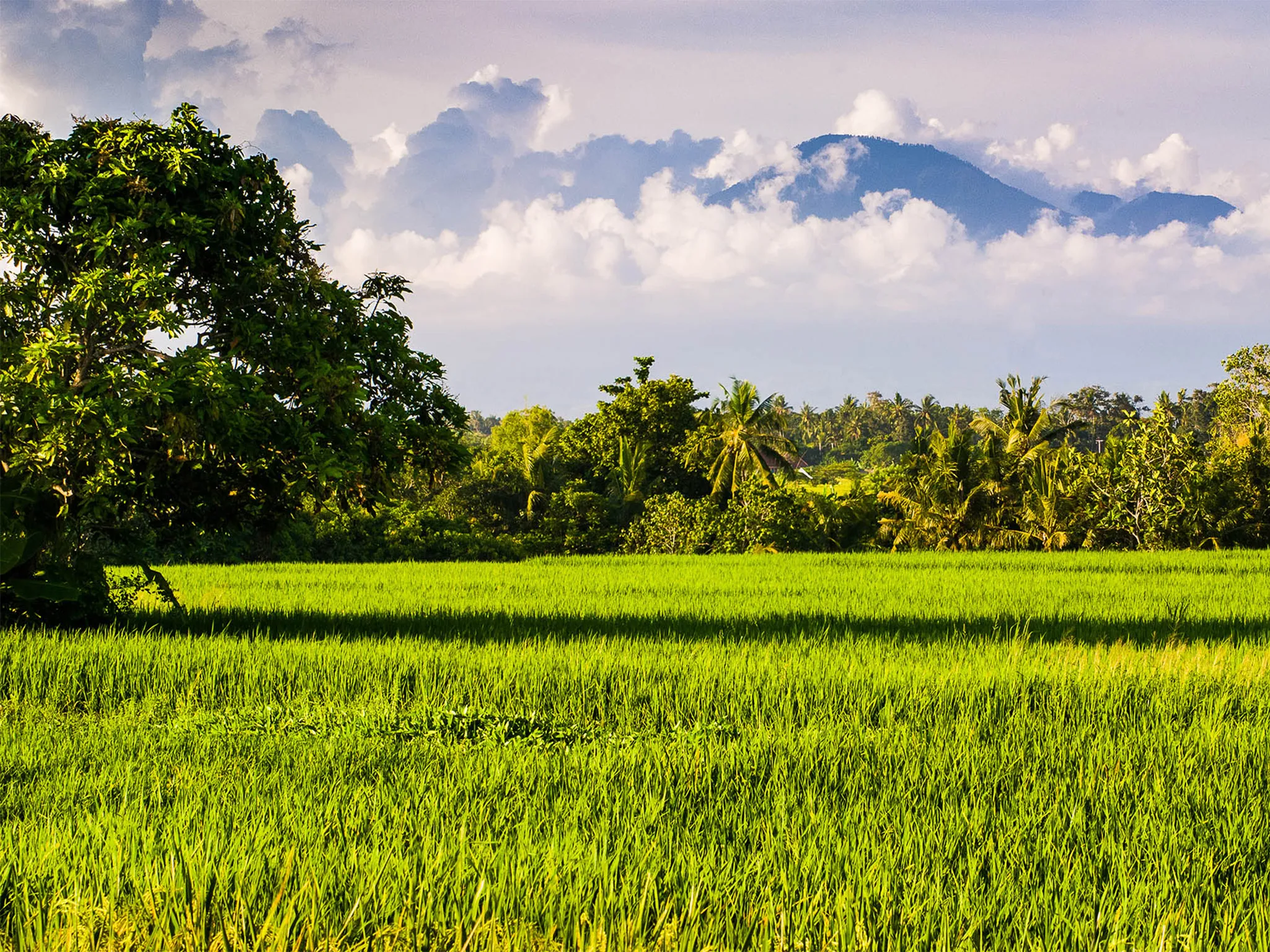 Seseh Beach Villas - Refresh your soul with mountain views