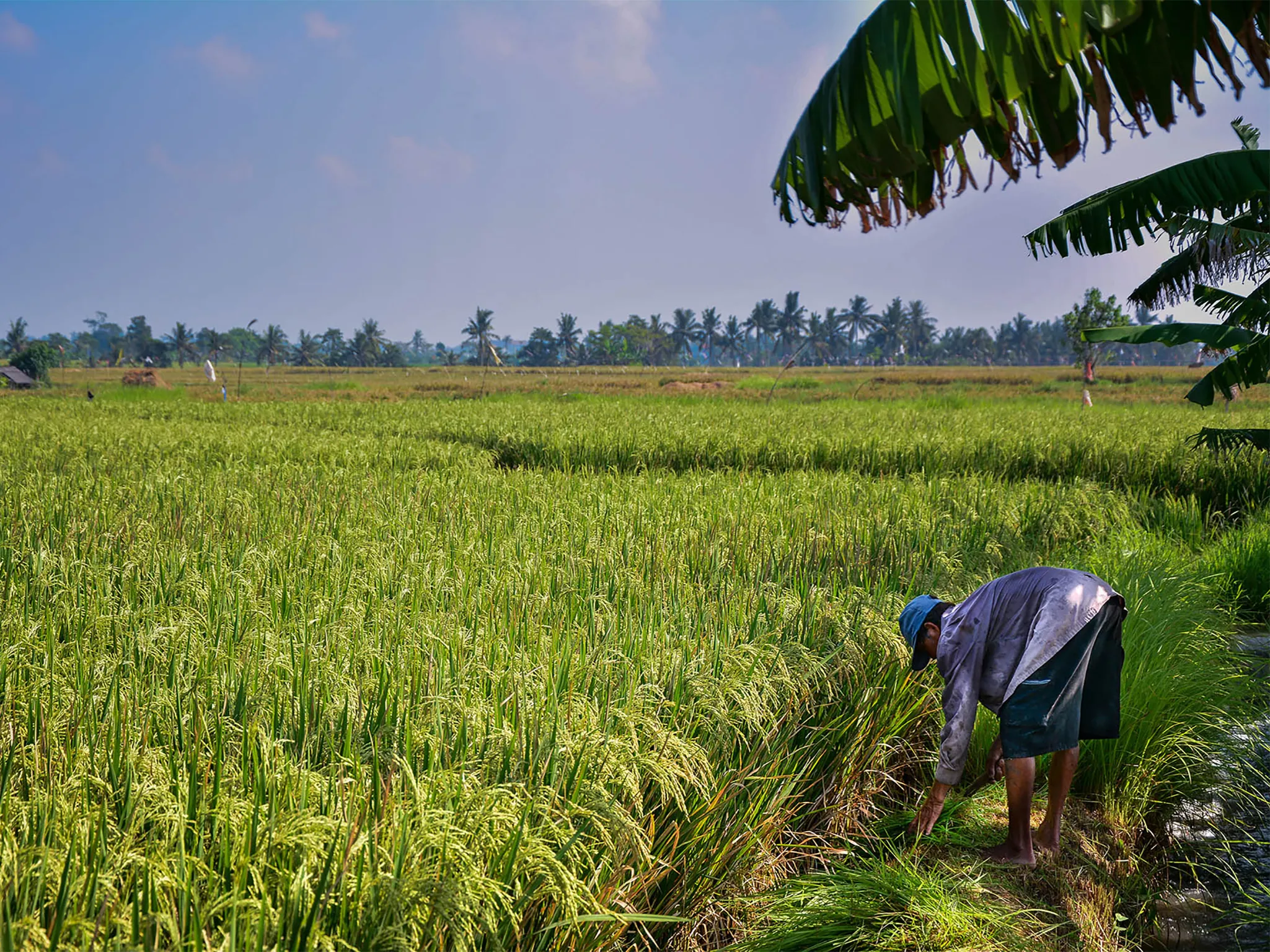 Seseh Beach Villas - A traditional way of life