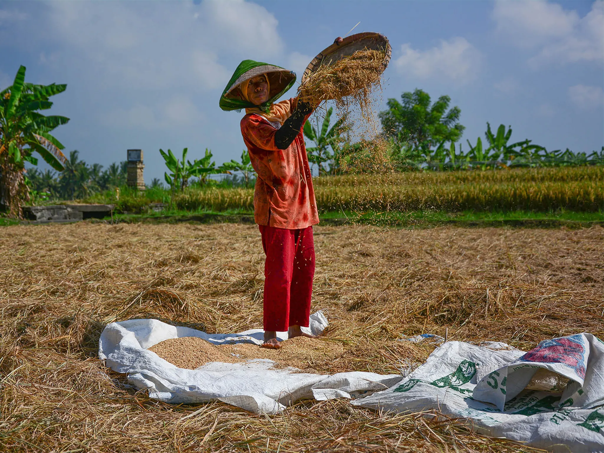 Seseh Beach Villas - Immerse yourself in traditional life