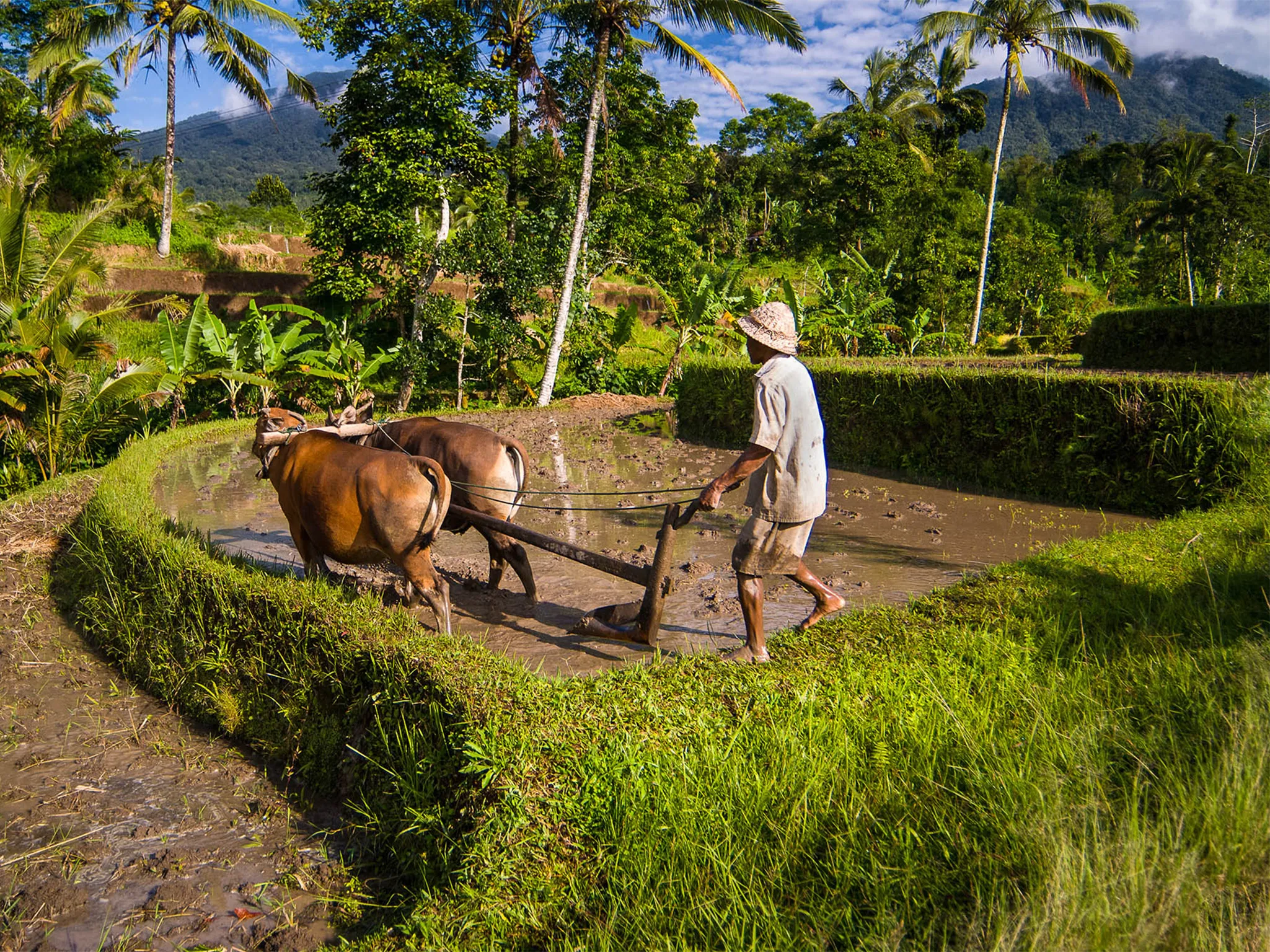 Seseh Beach Villas - Take yourself back in time