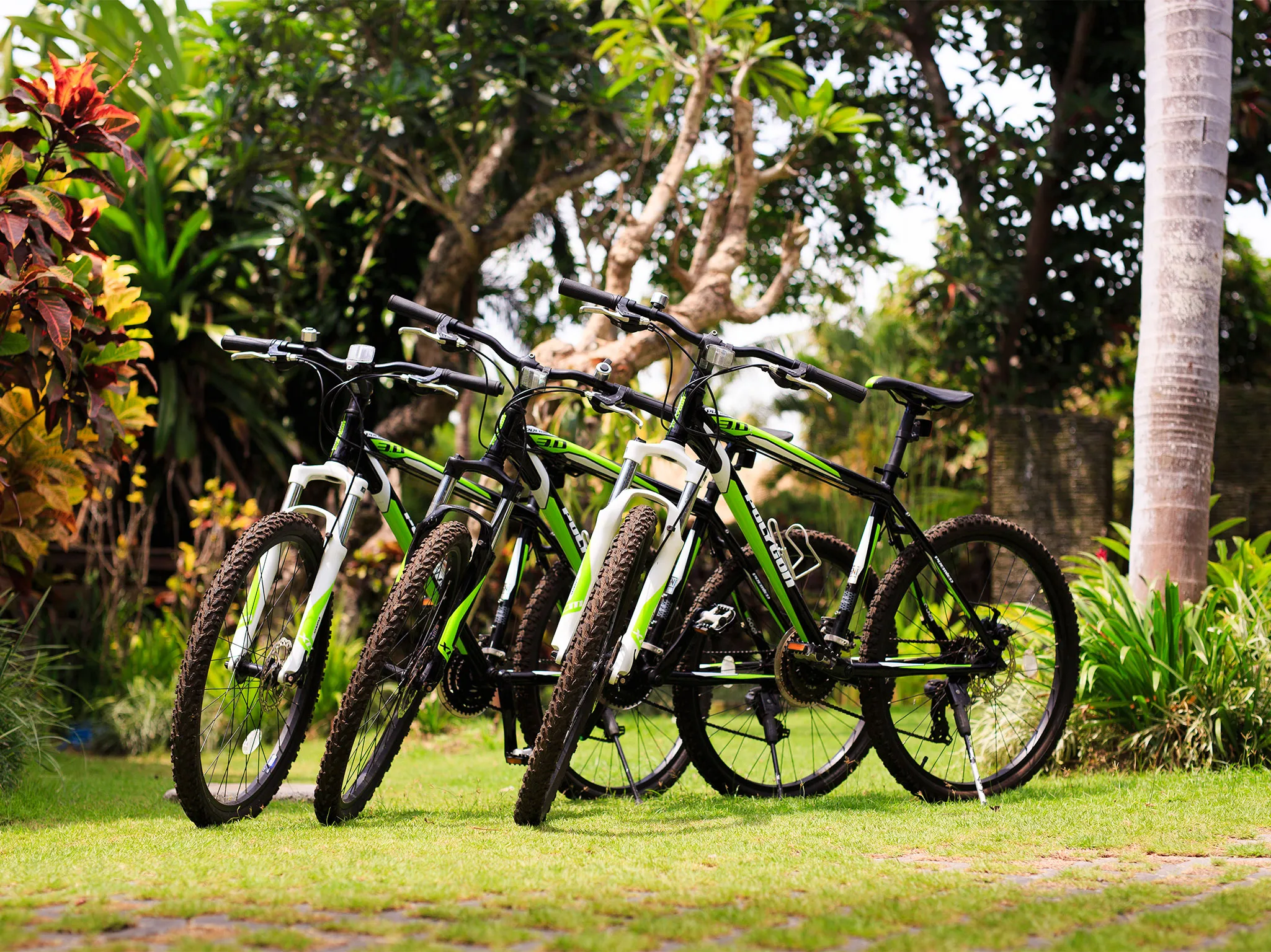 Villa Maridadi - Bike ride