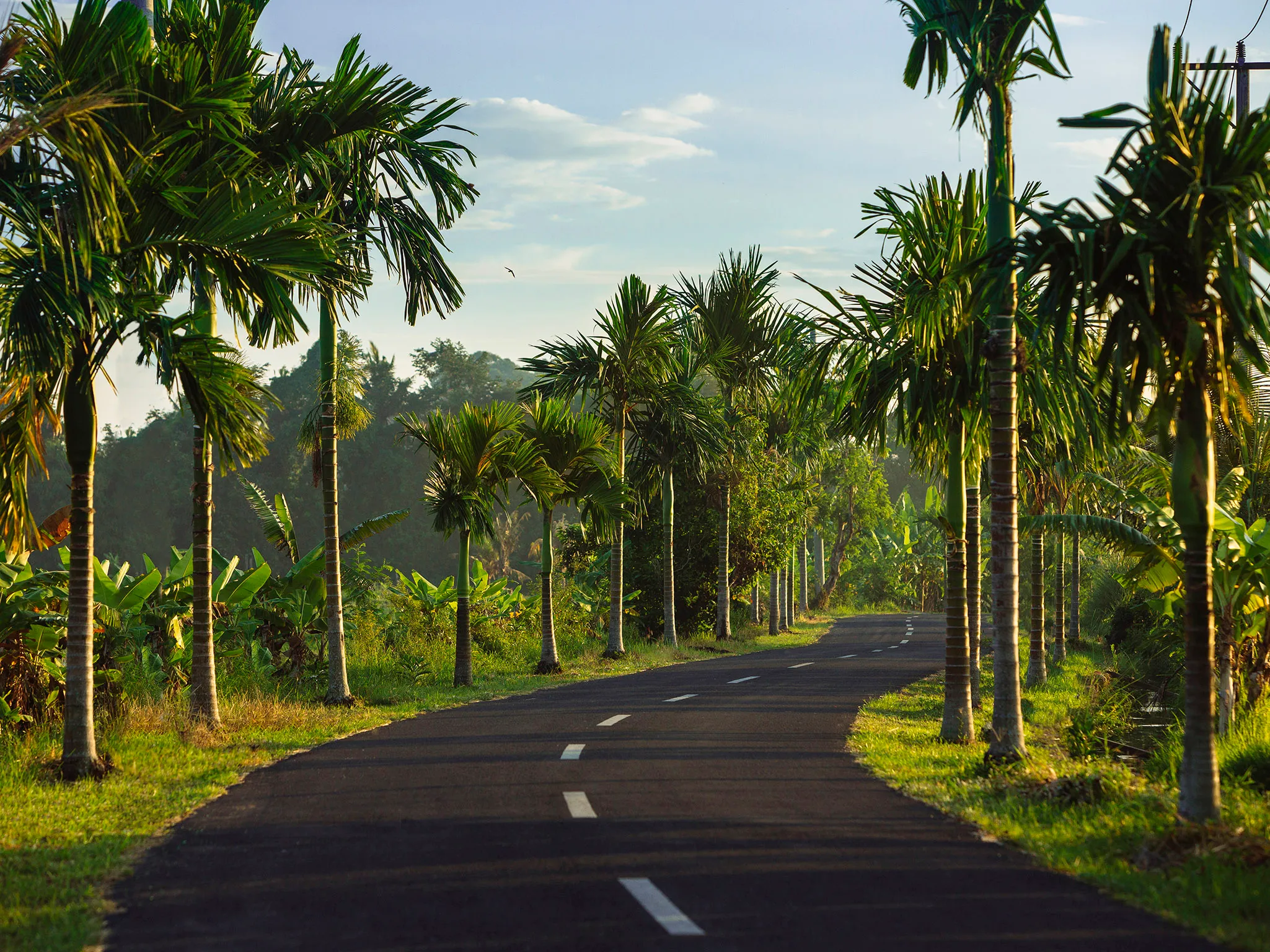 Villa Semarapura - Local roads around the villa