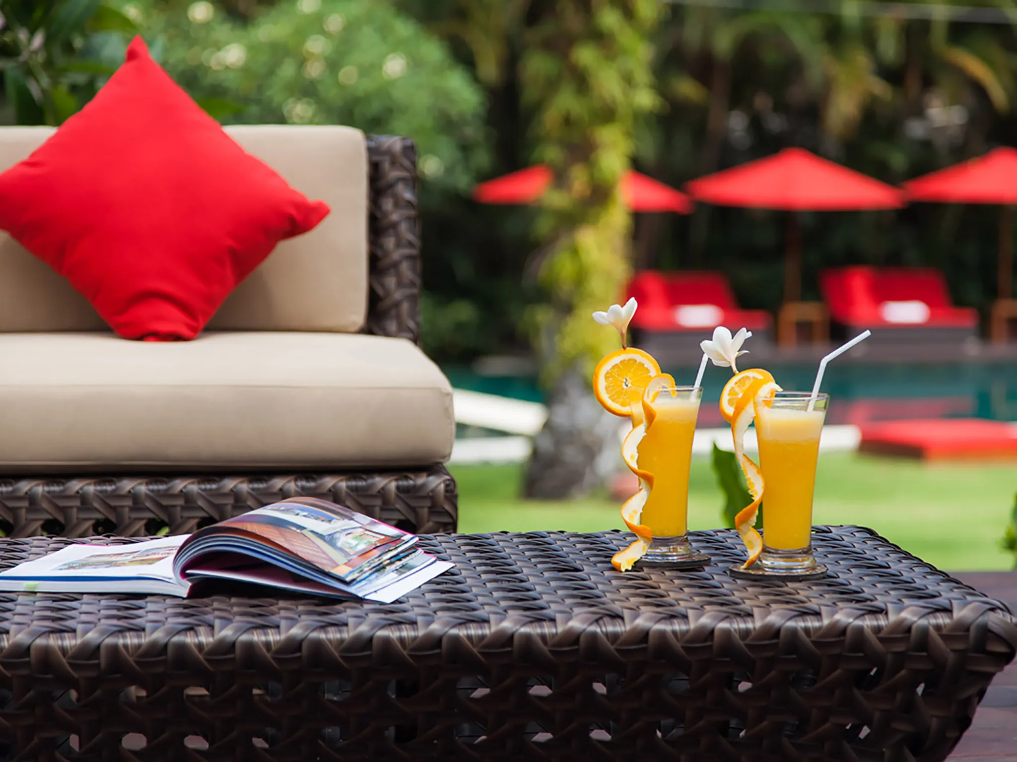 The Beji - Drinks anyone