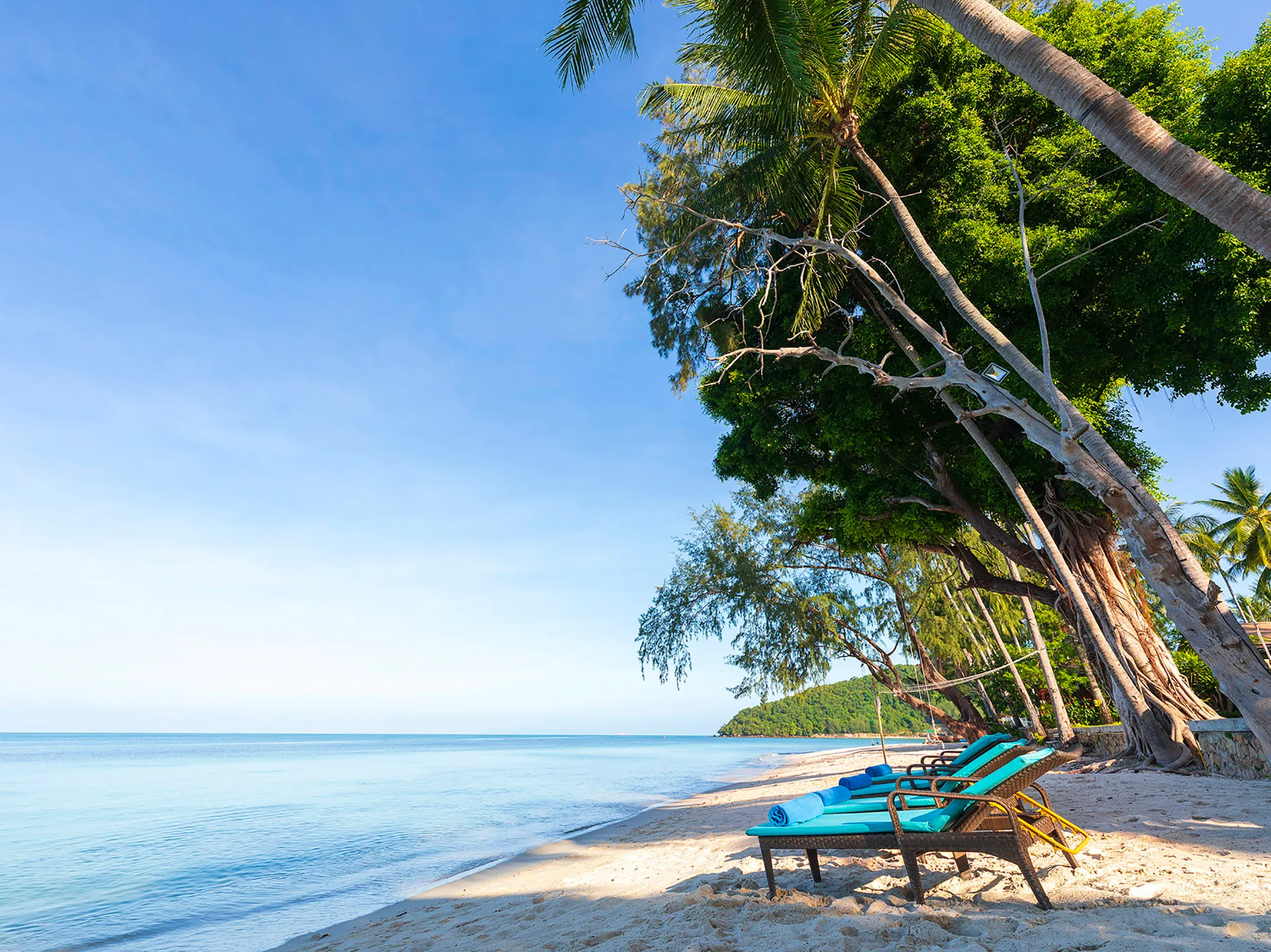 Waimarie - Beach loungers only for you