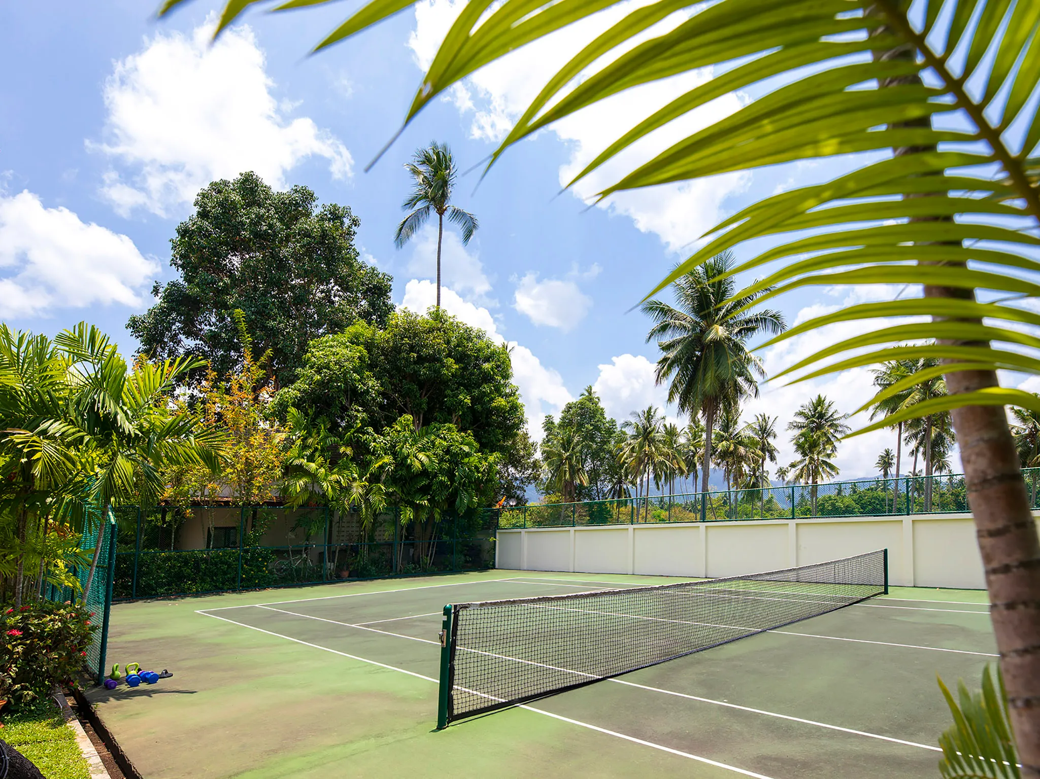 Waimarie - Private tennis court