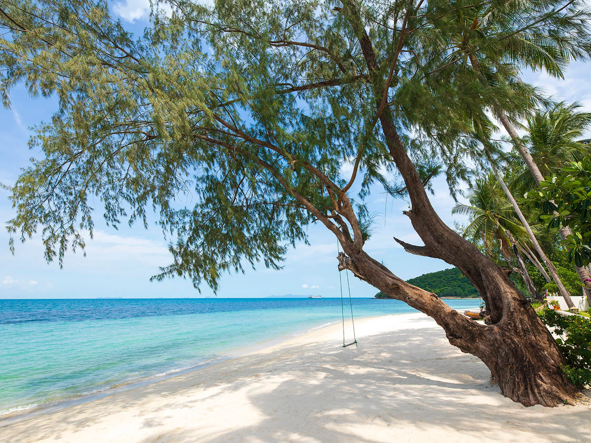 Waimarie - White sand beach