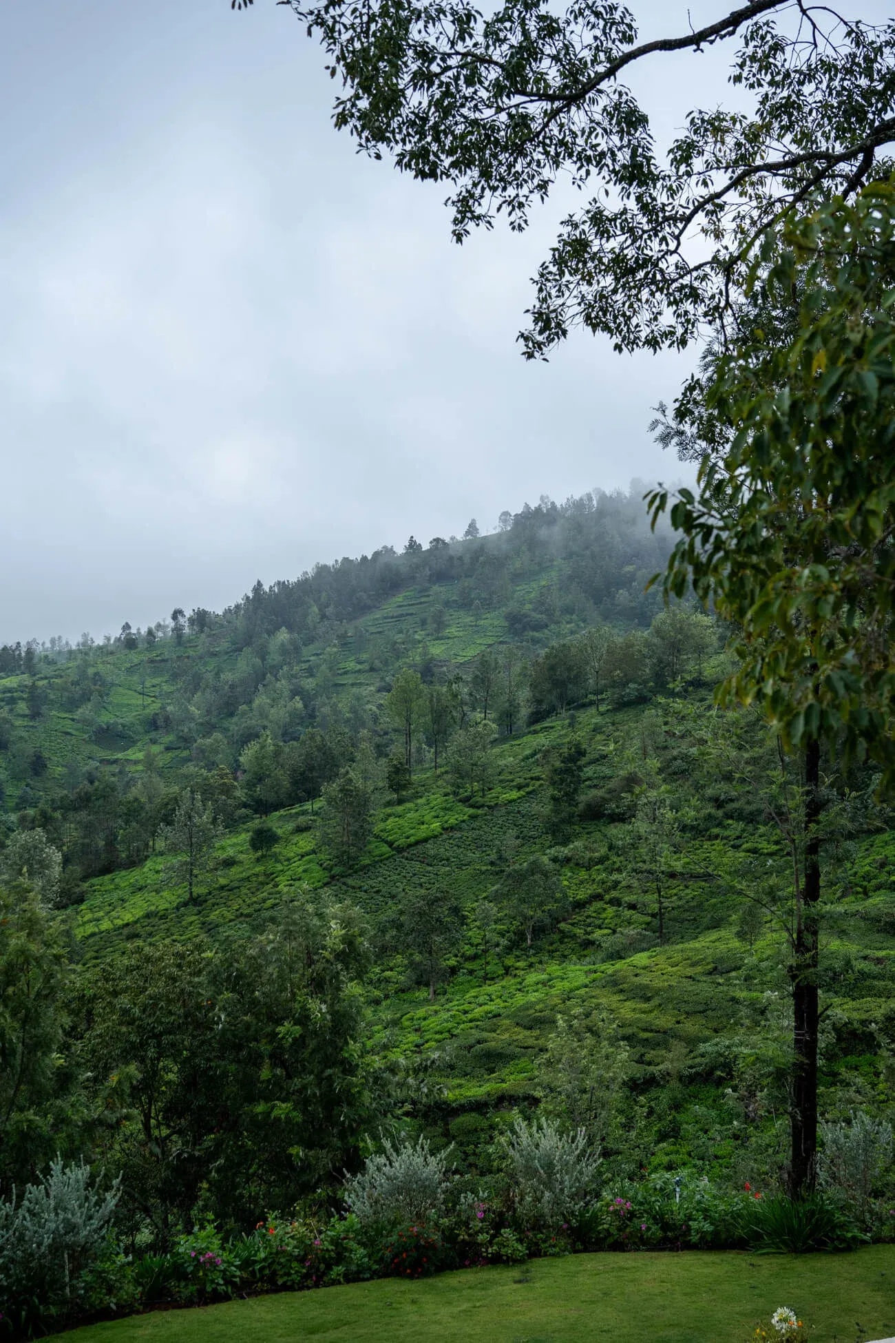 Views from the Villa | Villa Aikyam