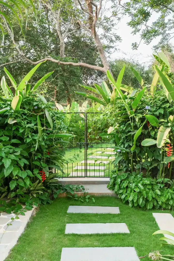 Outdoor Garden | Amalia Villa 5 | Goa