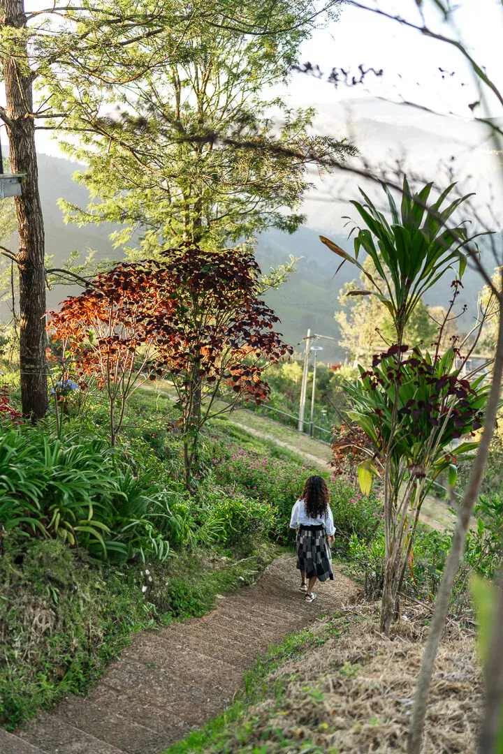 Outdoor Premises | Nature retreat with Lohono Stays