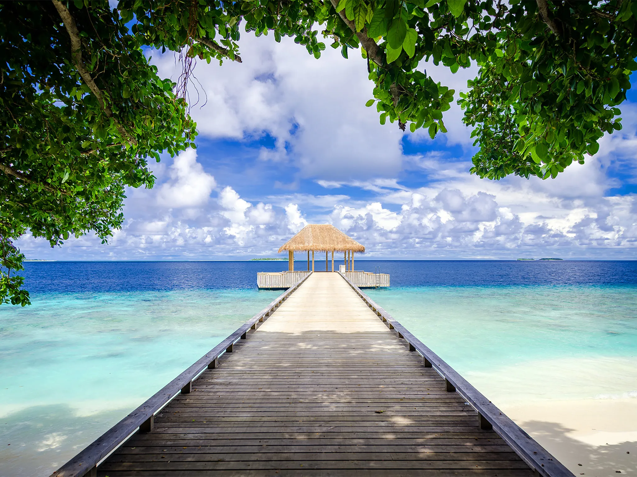 4 Bedroom Villa Residences - Amazing walkway to the spa pavilion