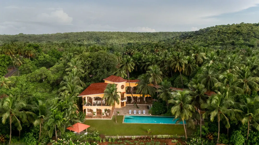 Estate Alta De Palmeira -  Aerial View