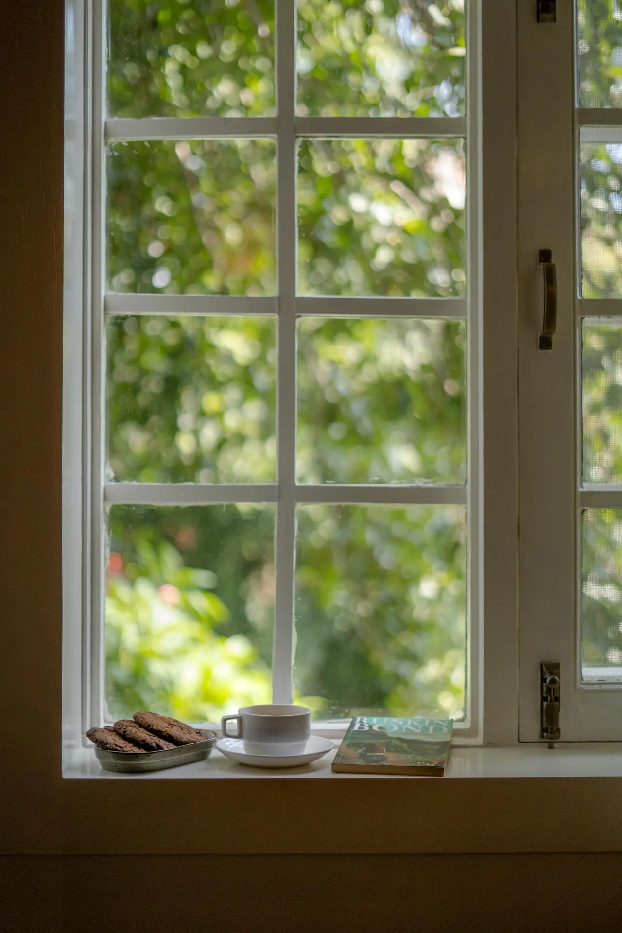 Ivy Cottage - Window