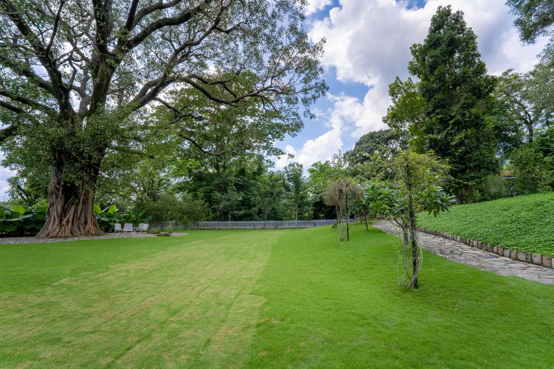 Ivy Cottage - Lawn