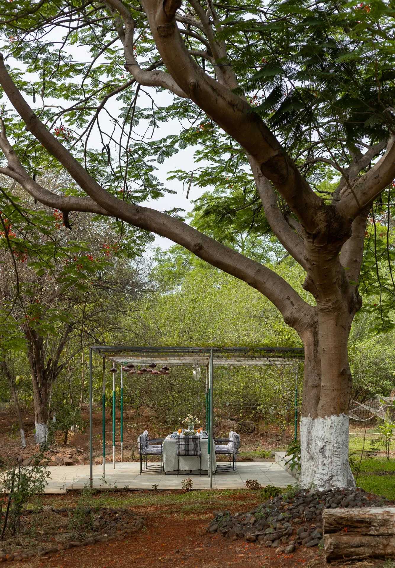 Maharajah House - Outdoor dining