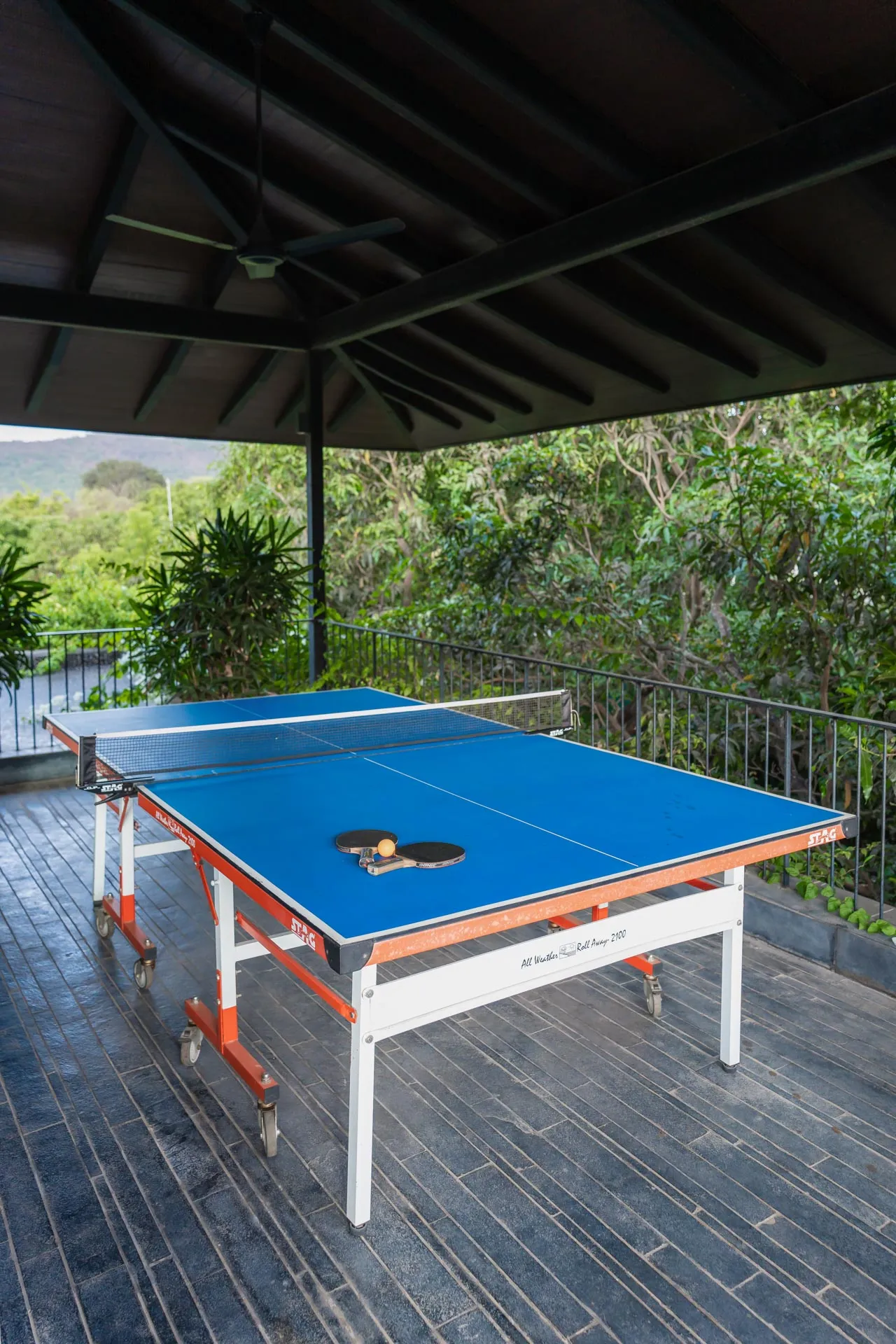 Orchard House - Table tennis