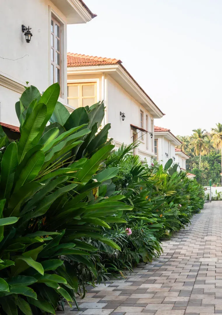 Outdoor Premises | Regato Villa D
