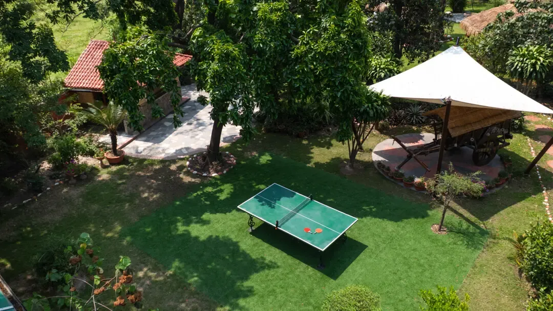 Table Tennis | The Homestead | Jim Corbett