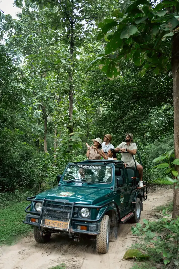 Jungle Safari | The Homestead | Jim Corbett