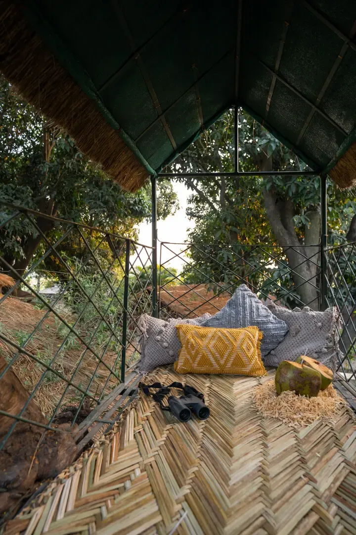Treehouse | The Homestead | Jim Corbett