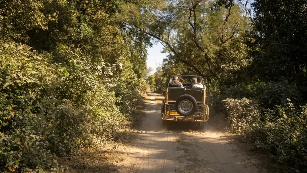 Jungle Safari | The Homestead | Jim Corbett