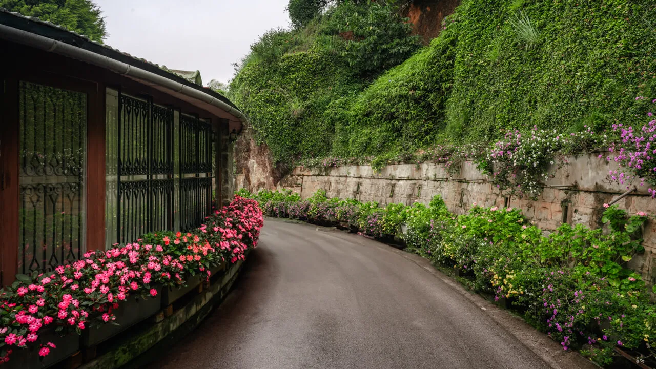 Driveway | Valora Estate, Coonoor by Lohono Stays