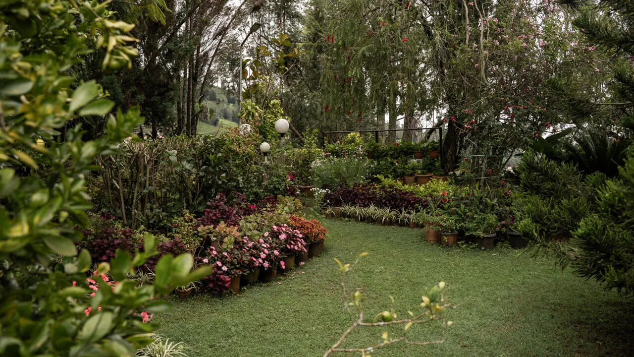 Outdoor Lawn | Valora Estate by Lohono Stays