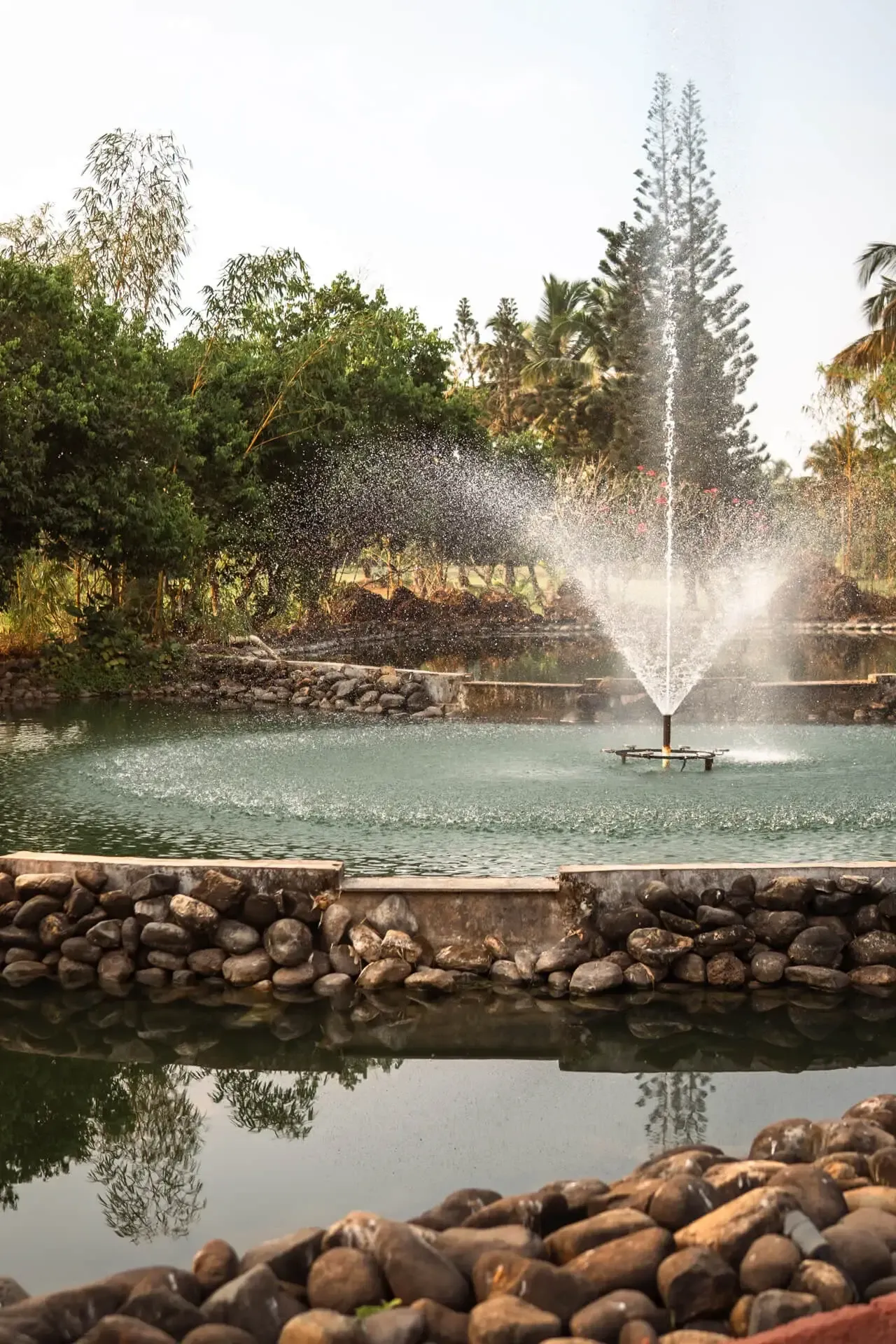 Outdoor lawns | Villas in South Goa by Lohono Stays