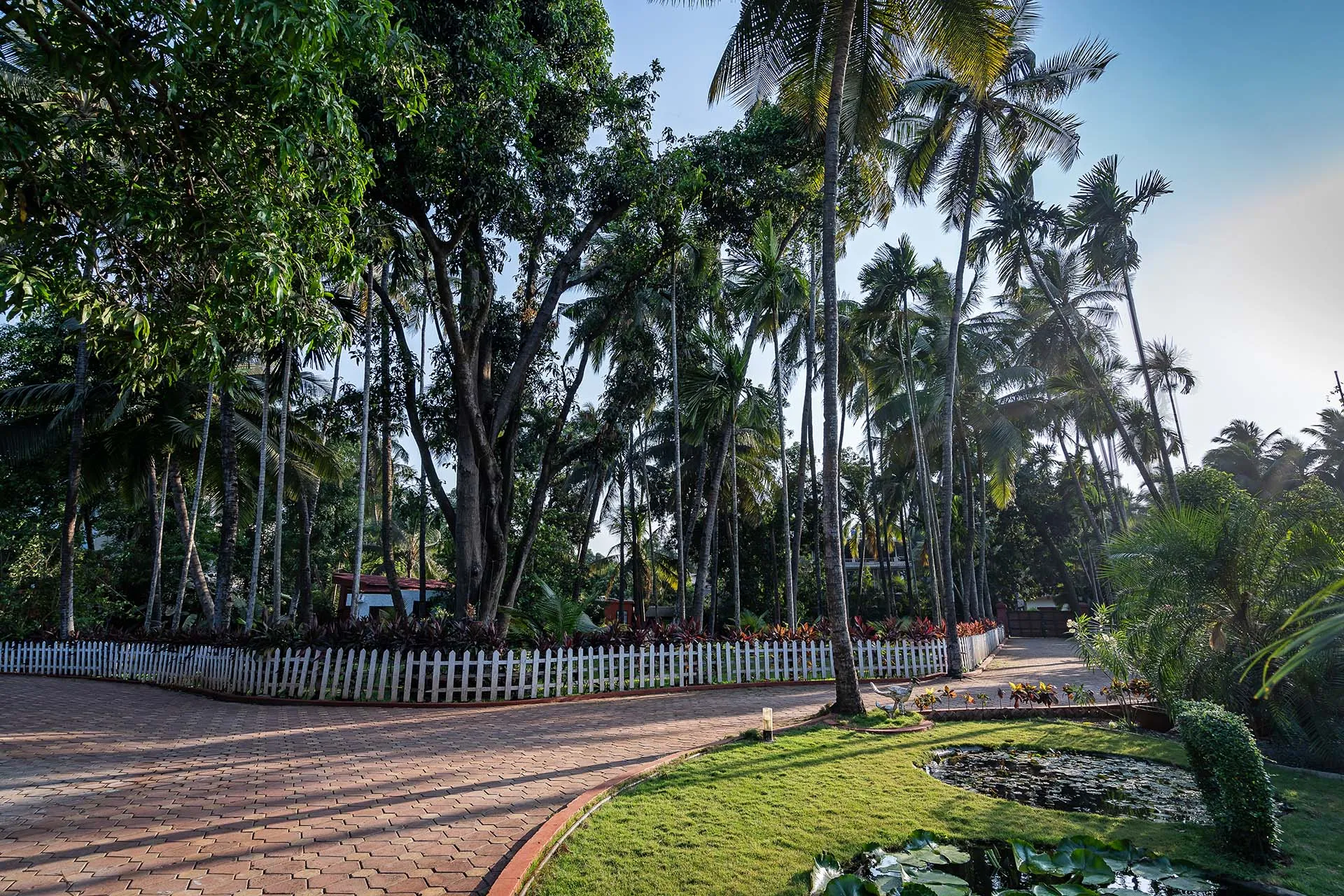 Villa Lani - Driveway