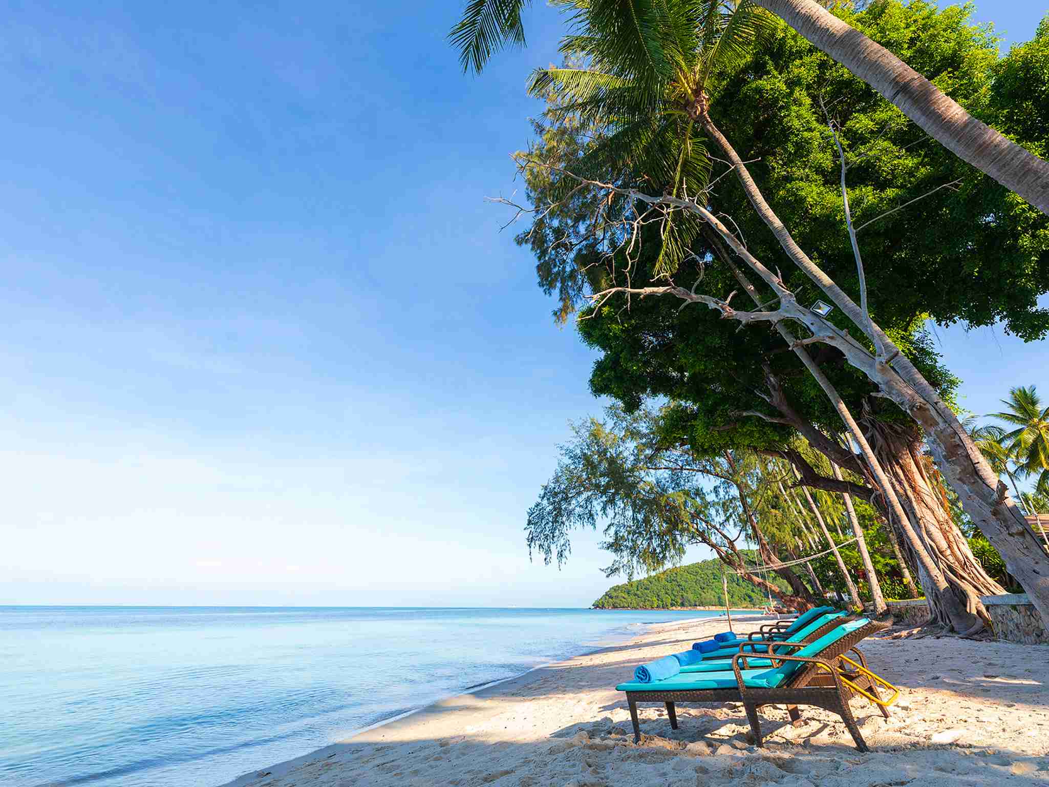 Waimarie - Beach loungers only for you