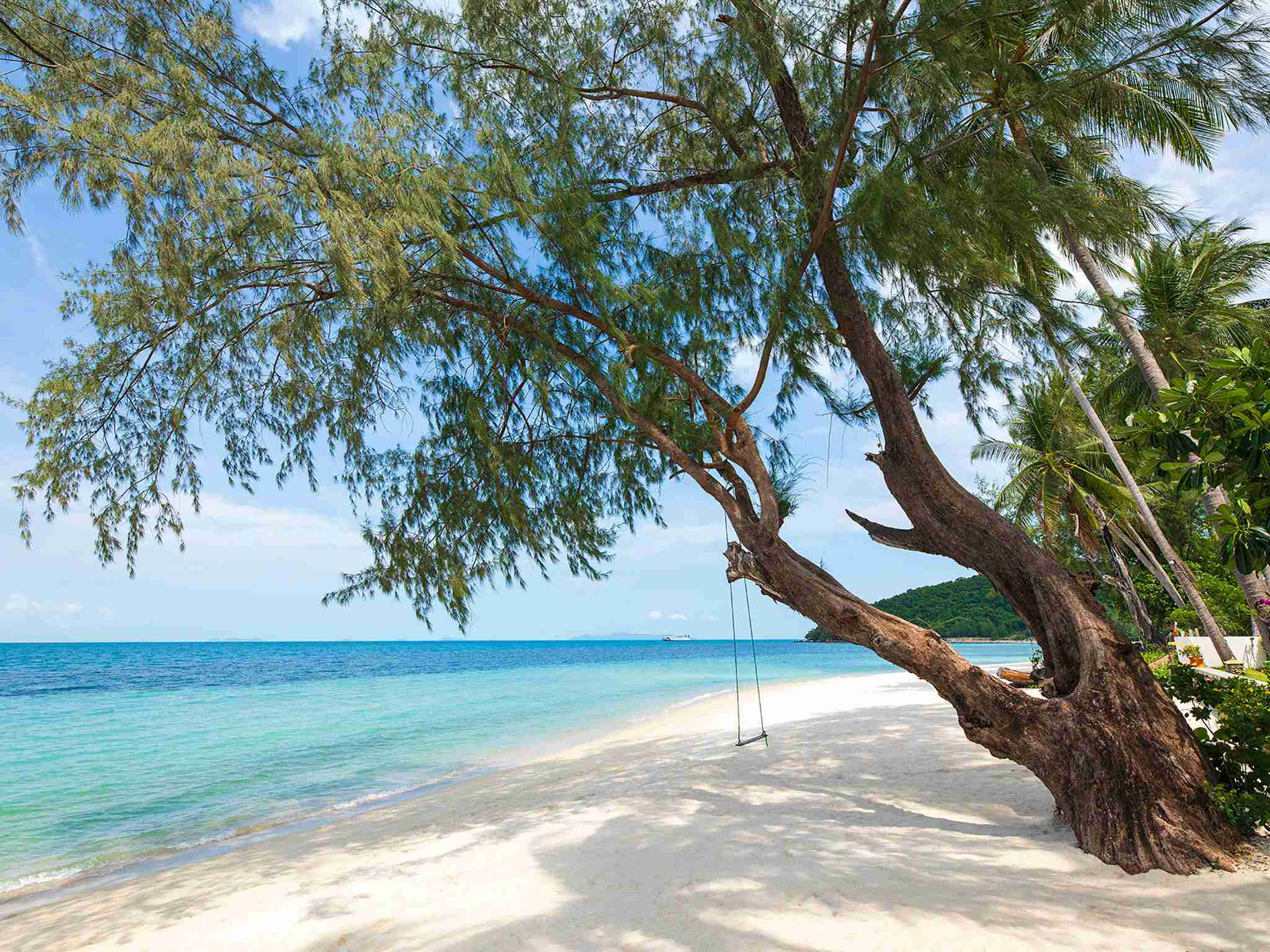 Waimarie - White sand beach