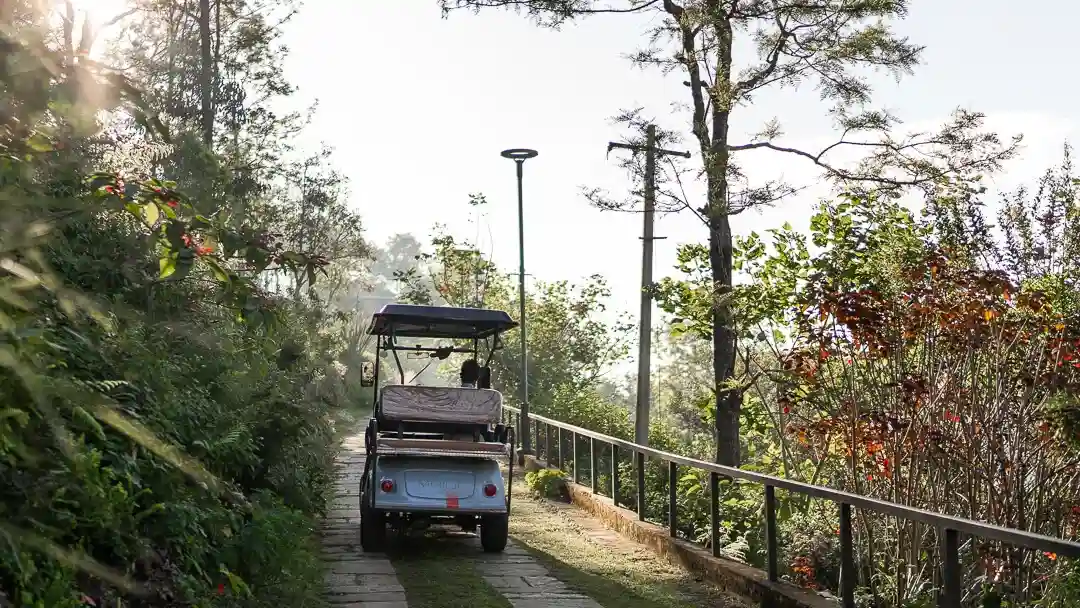 Buggy Service | Villa In Coonoor - Amani Villas 11B