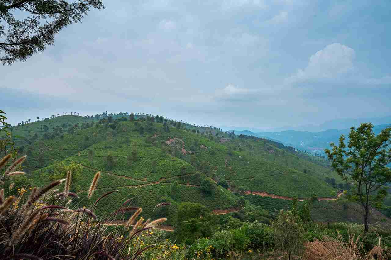 Best View Villa | Amani Villas 9A, Coonoor