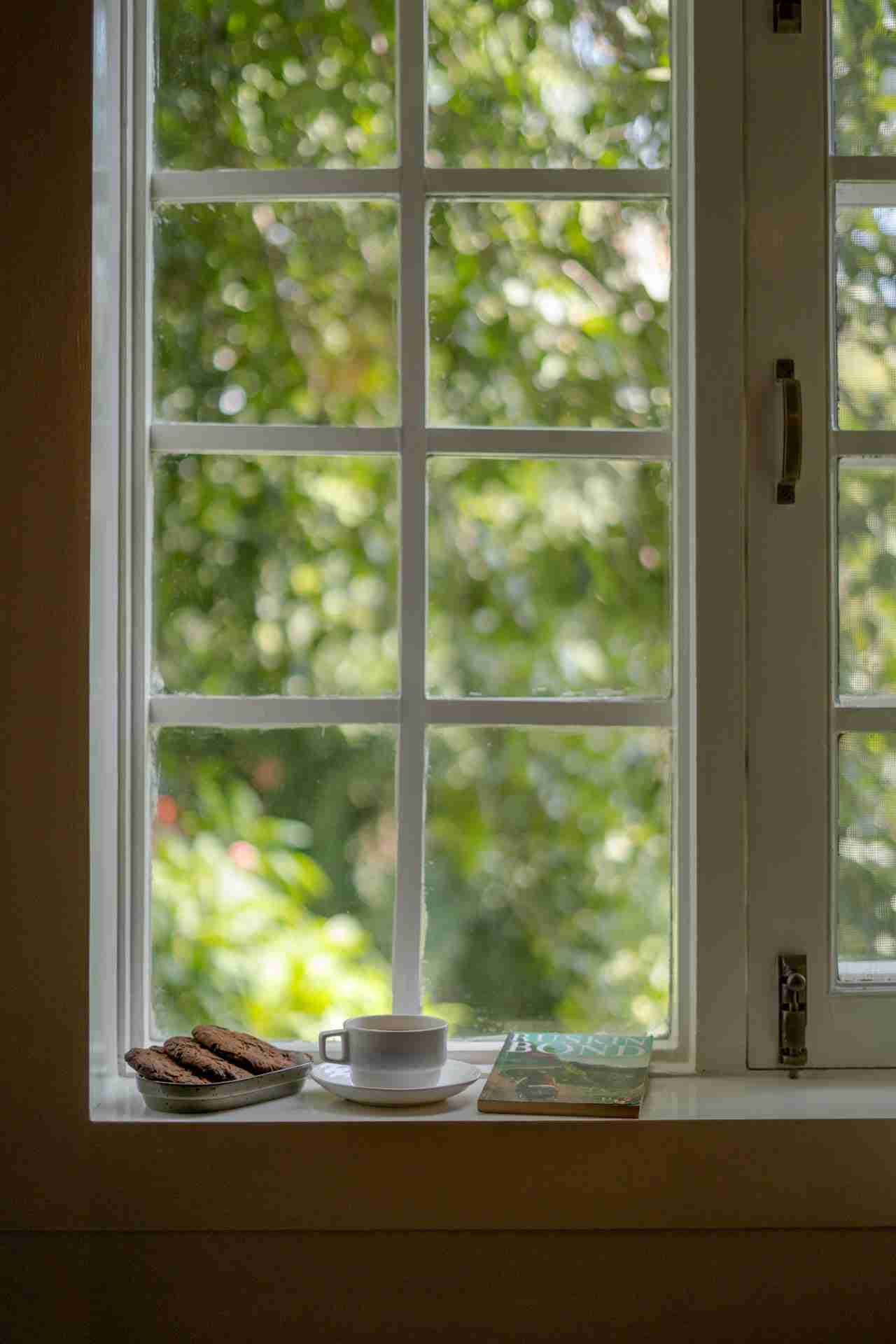 Ivy Cottage - Window