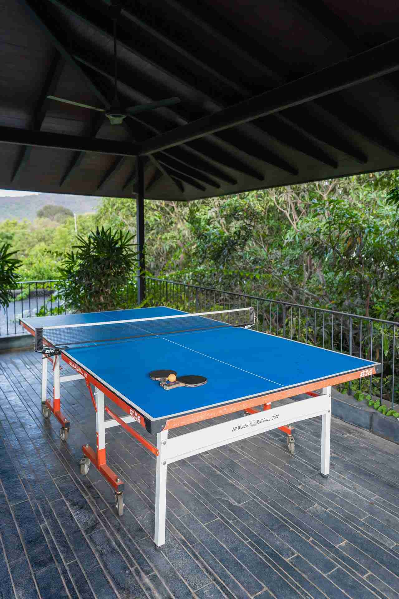 Orchard House - Table tennis