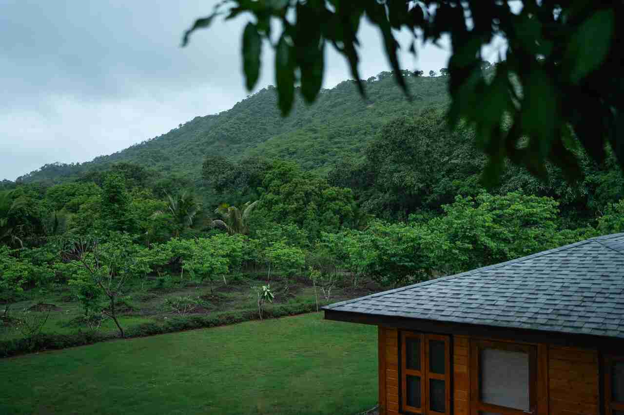 Orchard House - Out house
