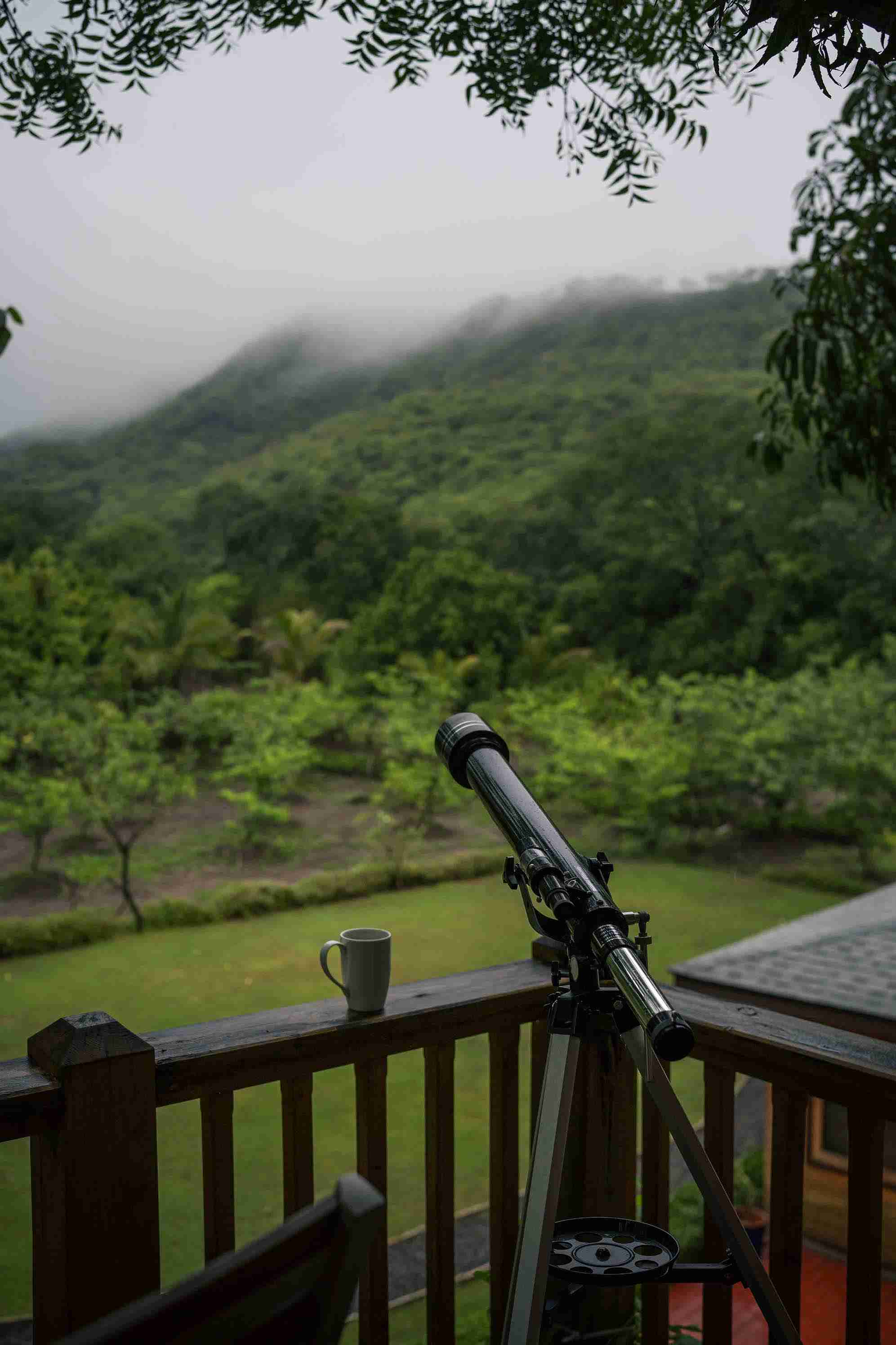 Treehouse Balcony | Orchard House by Lohono Stays 
