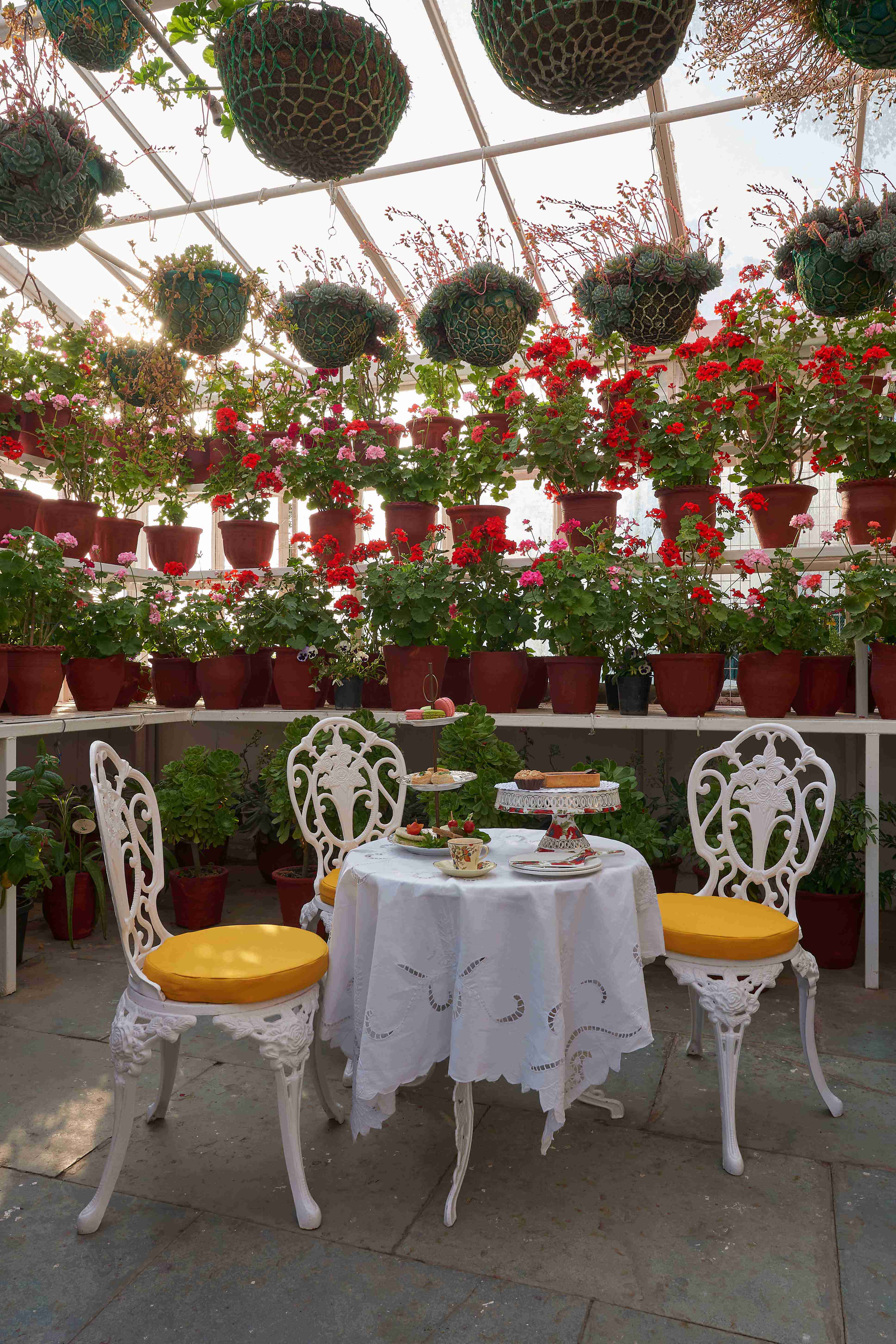 Soni Estate - High Tea