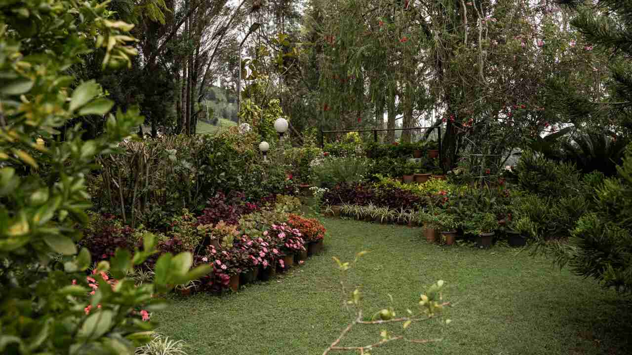 Outdoor Lawn | Valora Estate by Lohono Stays