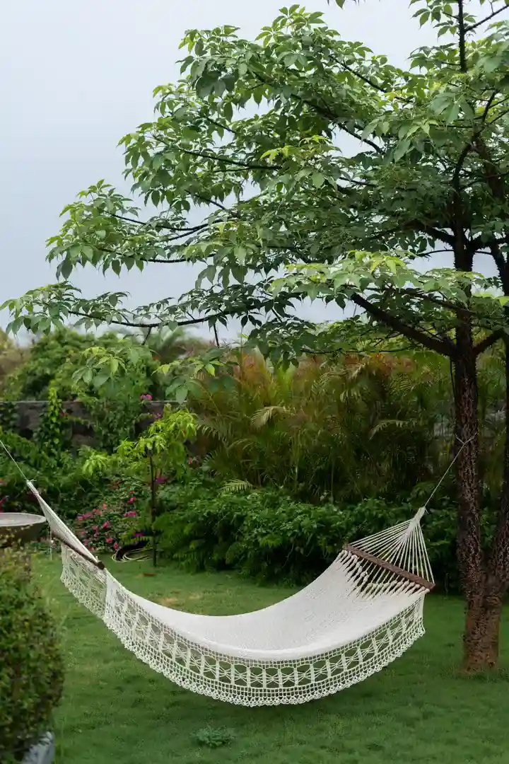 Outdoor | Whispering Dew, Alibaug
