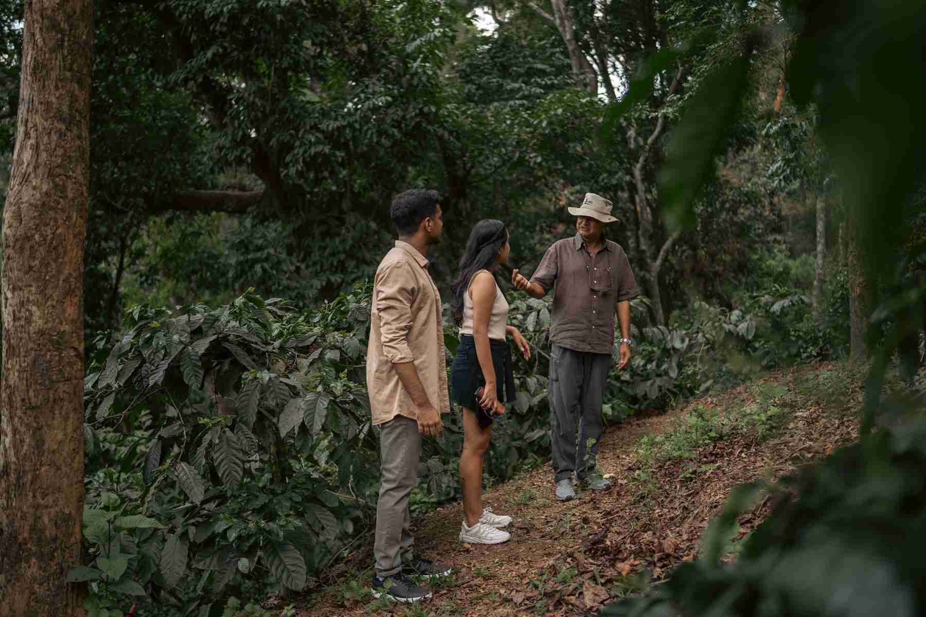 Whispering Waters Villa - plantation walk