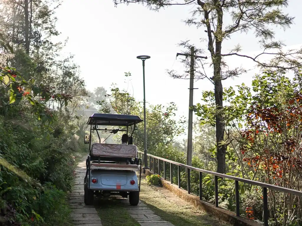 Buggy Service | Villa In Coonoor - Amani Villas 11B