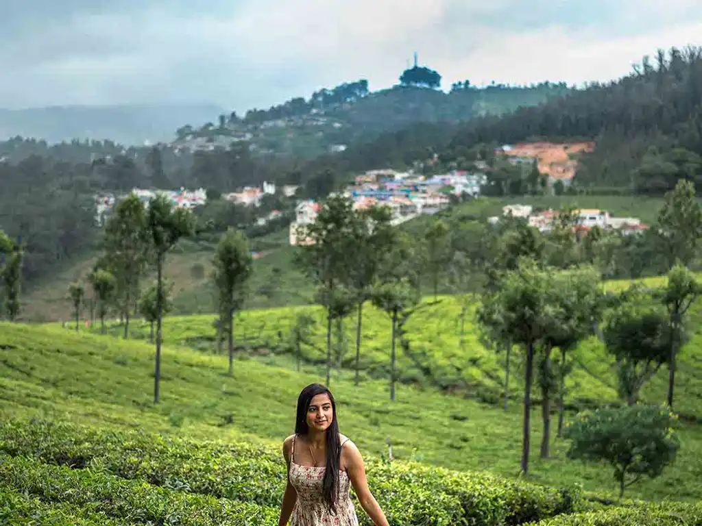 Landsdowne - Tea Plantations