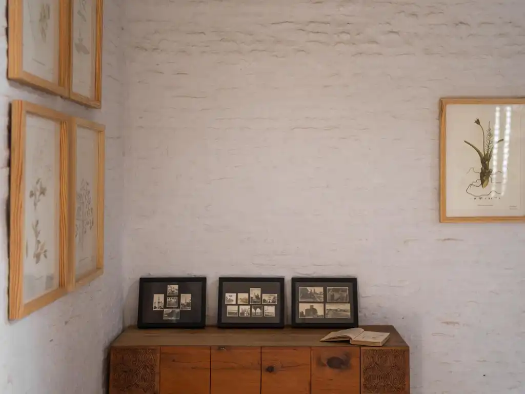 Library - Living Area