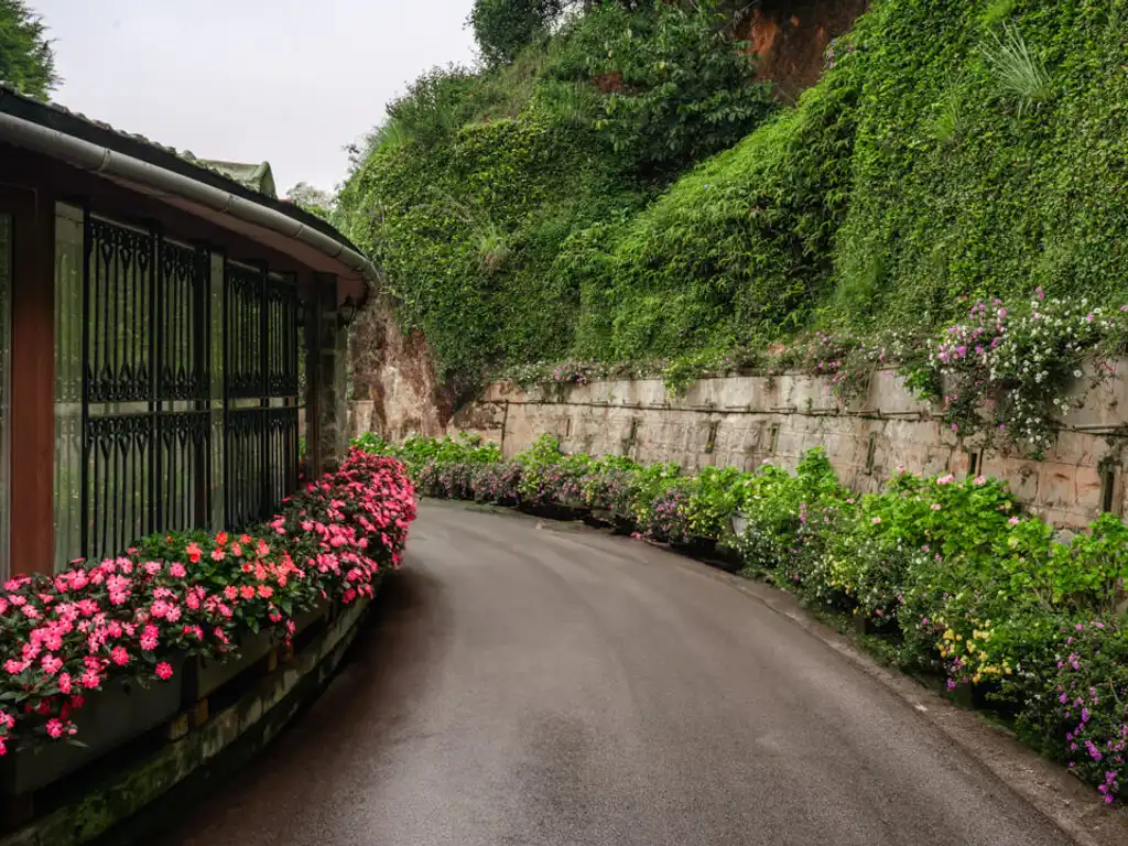 Driveway | Valora Estate, Coonoor by Lohono Stays