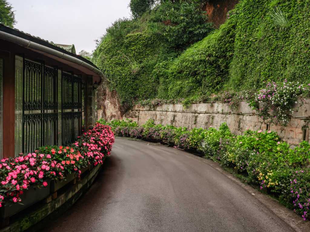 Driveway | Valora Estate, Coonoor by Lohono Stays