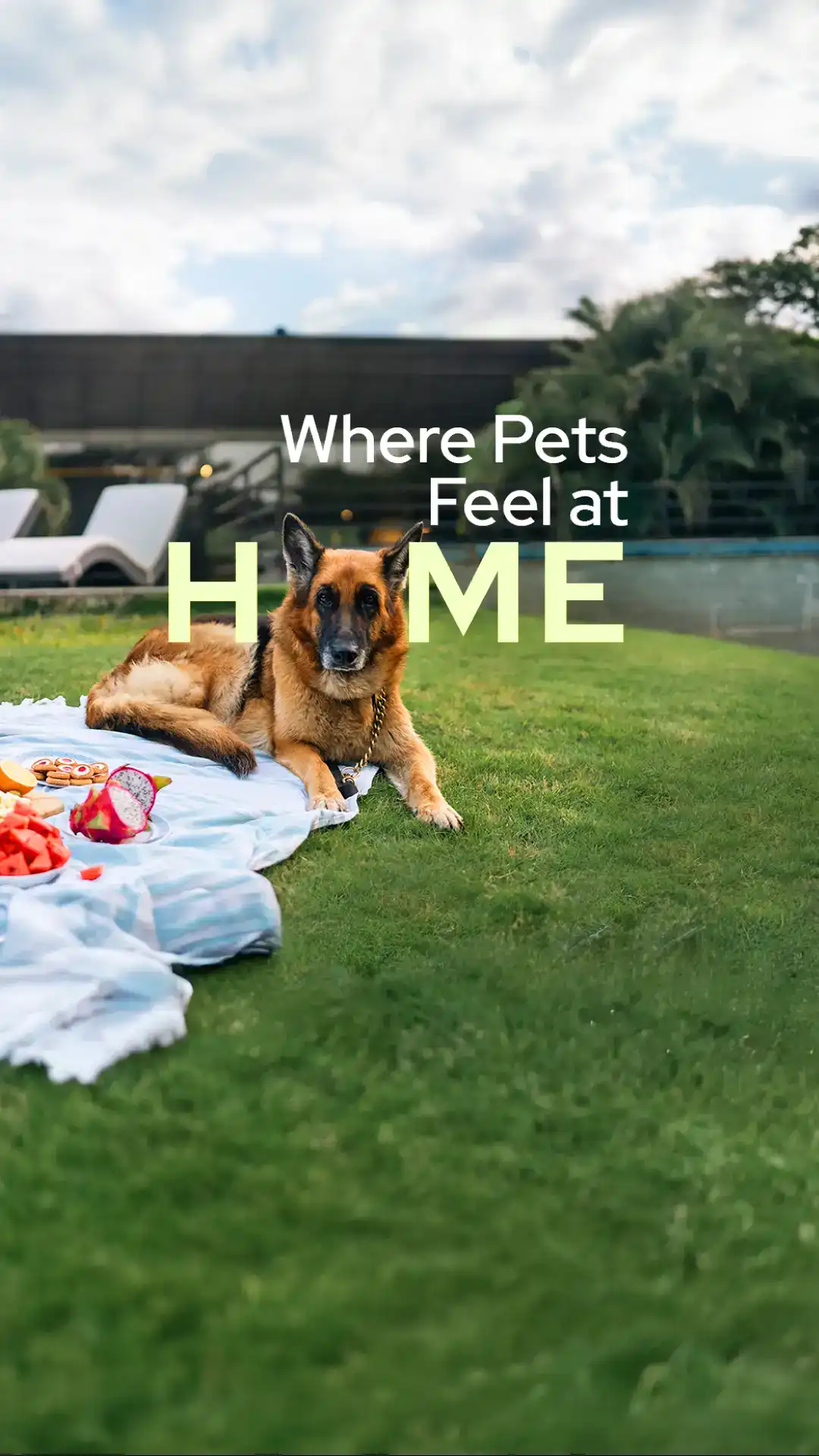 Pet friendly Villas