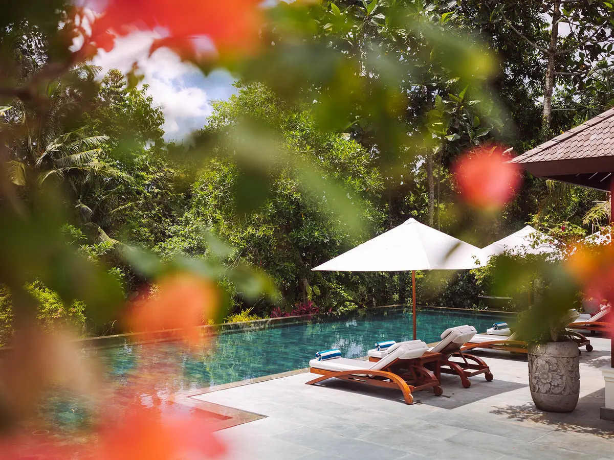 The Arsana Estate - Pool deck